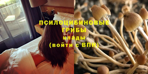 меф Зеленодольск