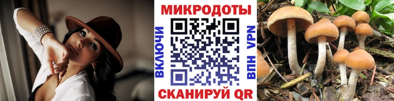 Купить где  Починок  Псилоцибиновые грибы Magic Shrooms 